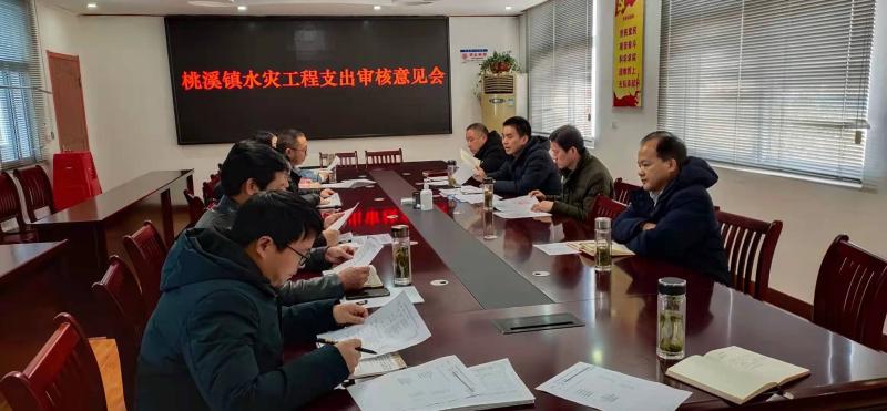 桃溪镇组织力量对水灾工程支出进行审核_舒城县人民政府