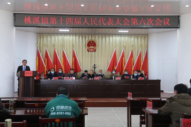 桃溪镇第十四届人民代表大会第六次会议胜利召开_舒城县人民政府