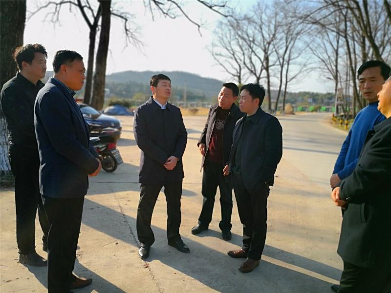 王万喜到舒茶镇指导工作_舒城县人民政府