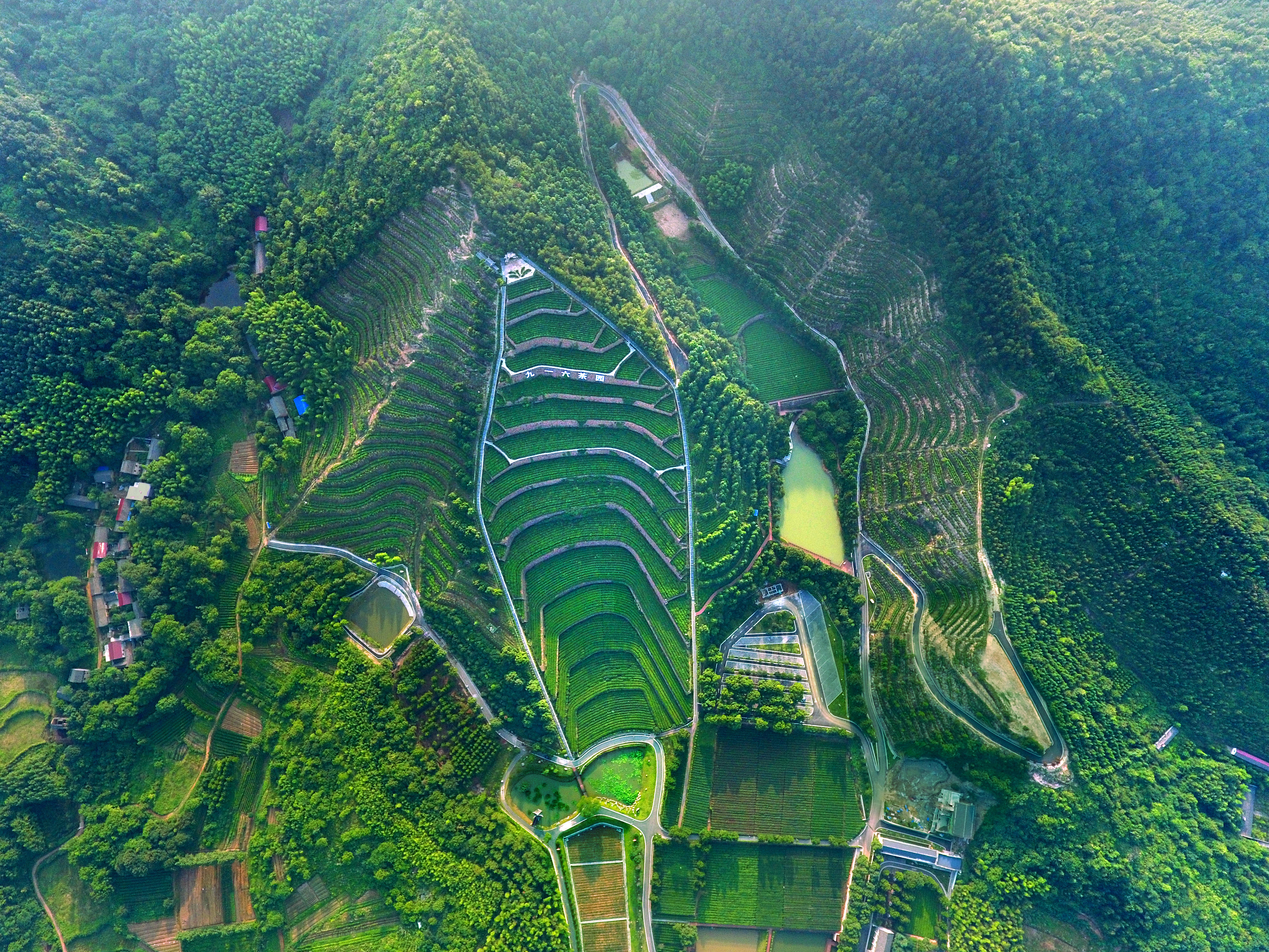 舒茶人民公社景区
