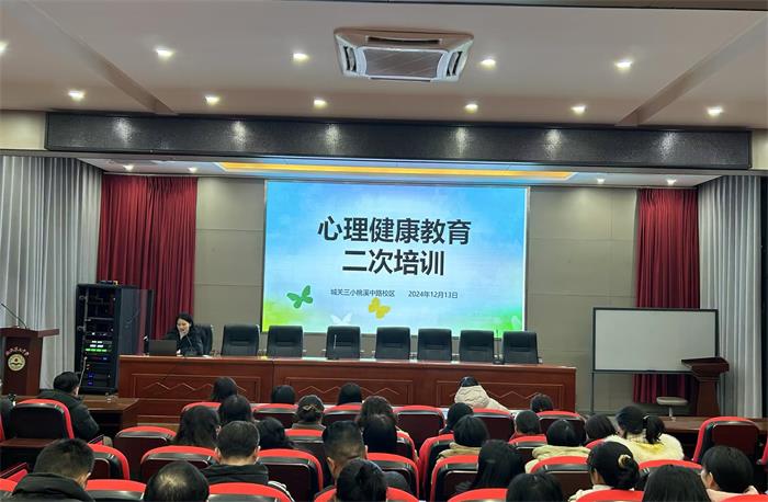 城关三小桃溪中路校区开展心理健康二次培训活动