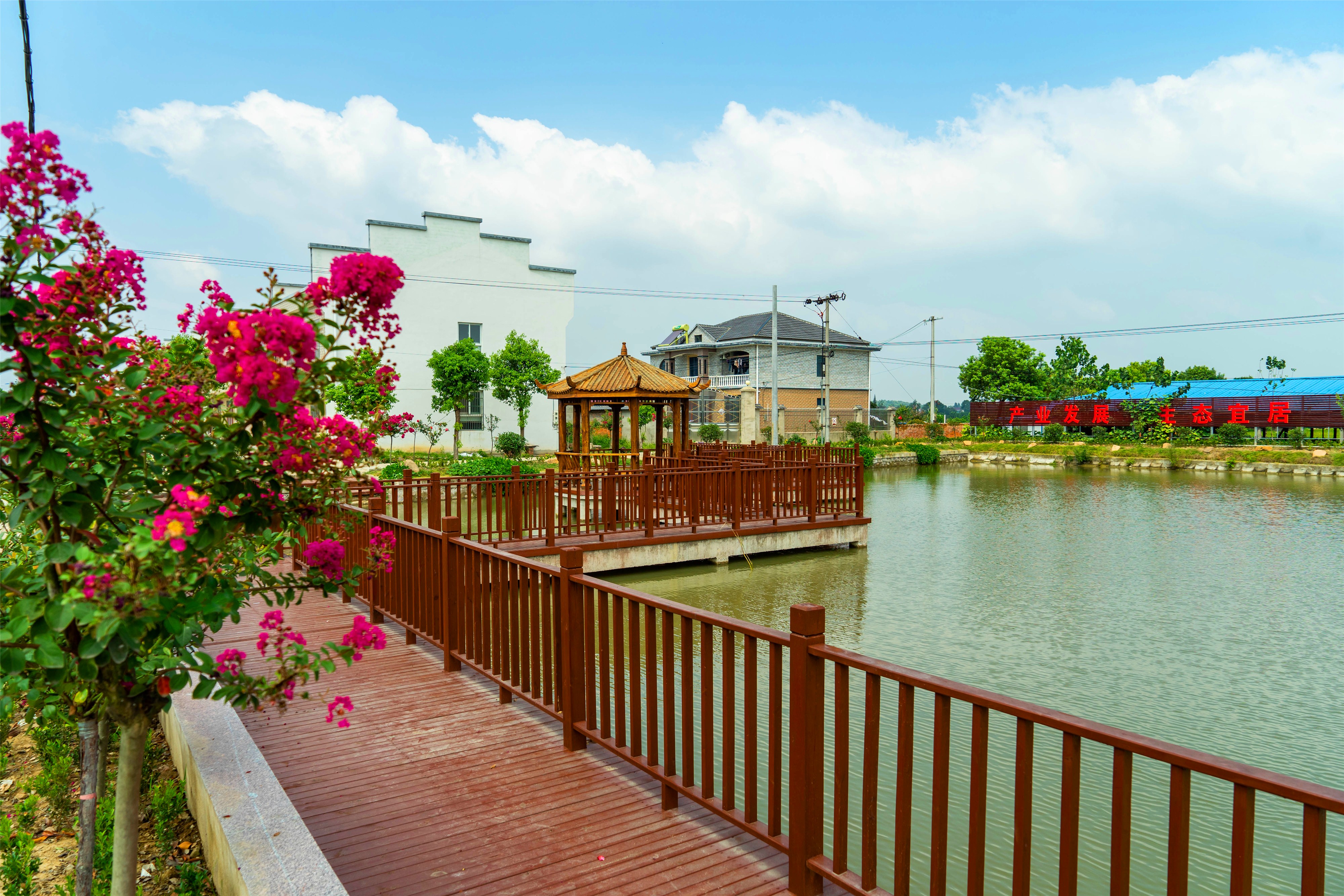 龙舒鱼米乡生态火龙岗——舒茶镇火龙岗美丽乡村建设情况简介