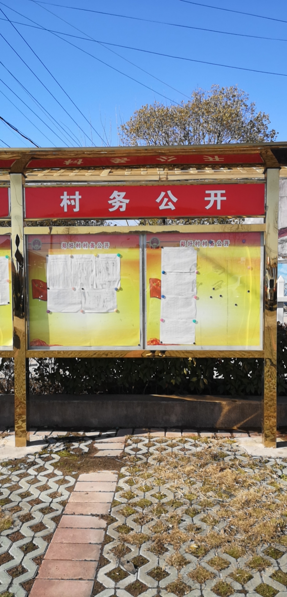 百神庙镇郑圩村村务公开栏