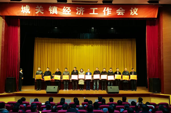 会议地点:舒城剧院     会议主持:张栋梁     会议主题:城关镇2020年