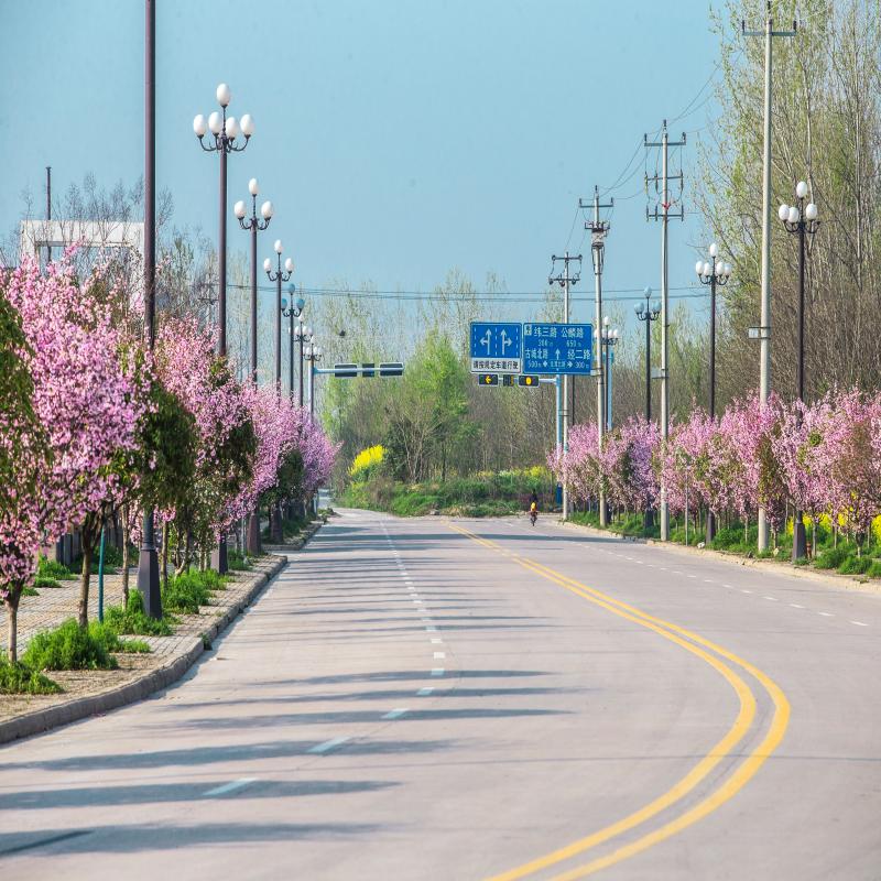 沿途皆风景，欣赏舒城经济开发区“路之美”