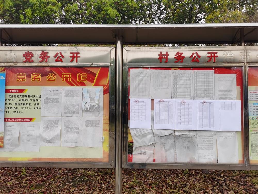 舒城县柏林乡祝井村村务公开栏