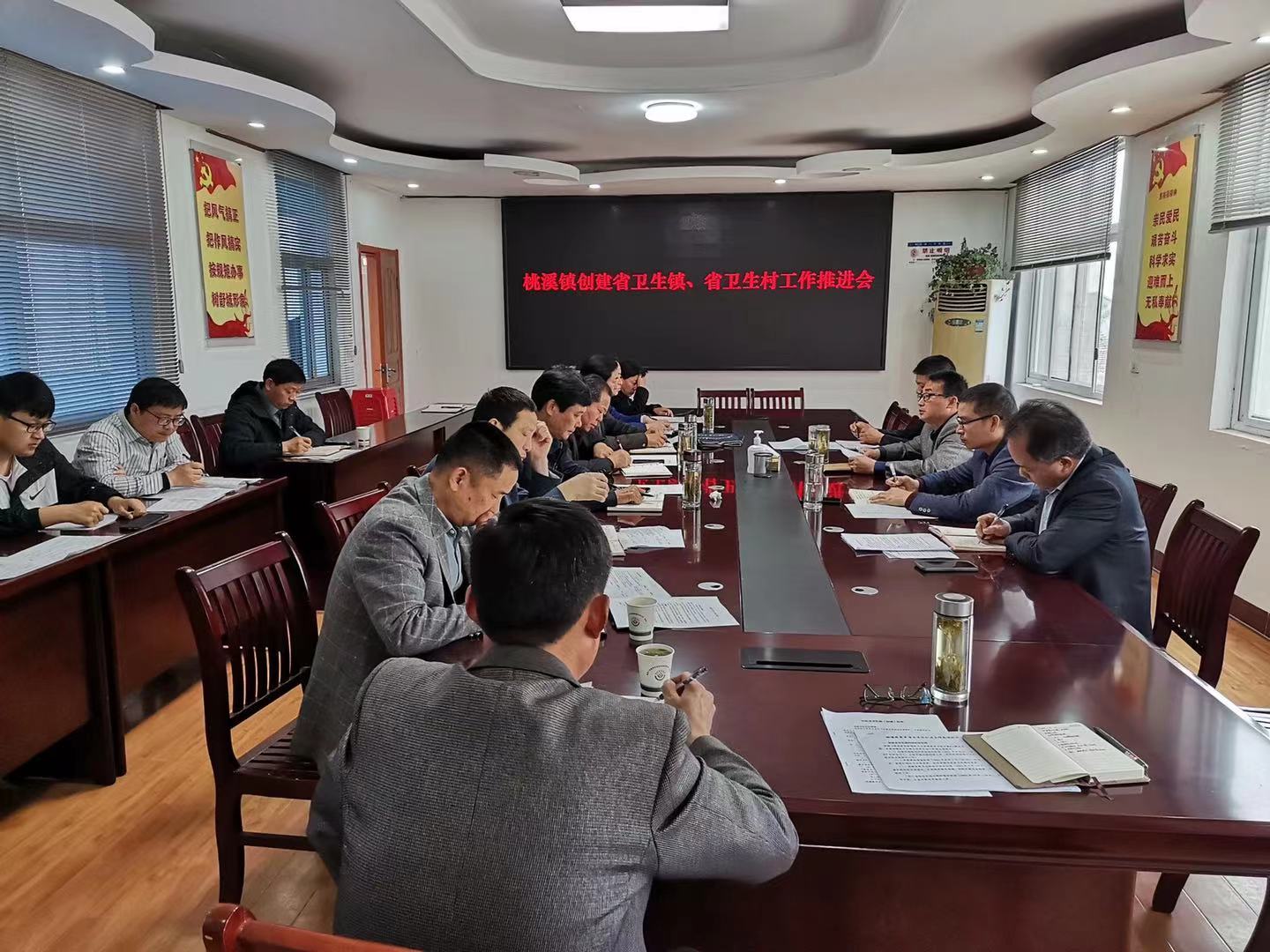 桃溪镇召开创建省级卫生镇,卫生村工作推进会_舒城县人民政府