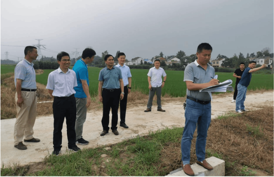 县农业农村局副局长卫秀林陪同市局领导来我县验收2020年度高标准农田