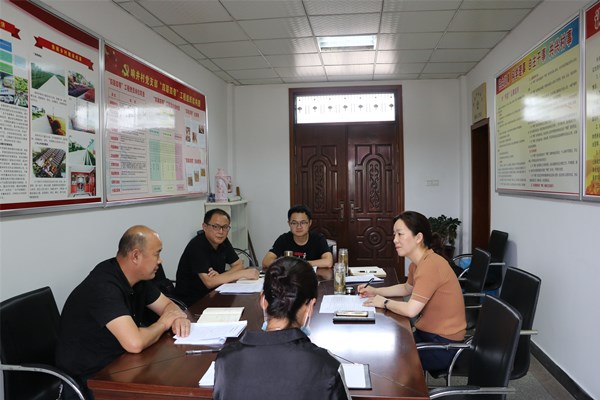 胡敏到乡镇督导基层监督工作_舒城县人民政府