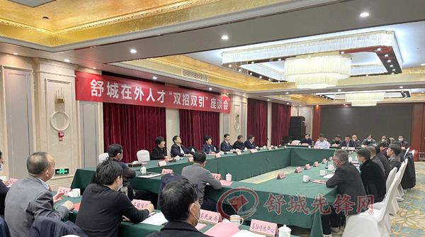 舒城在外人才“双招双引”座谈会召开