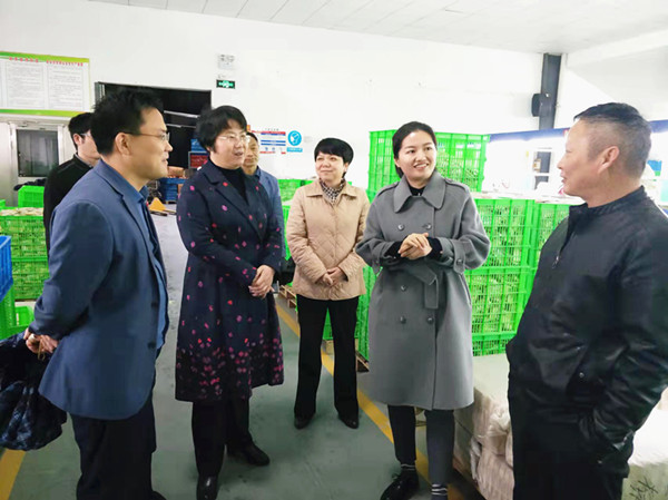 王庭美张成伟到千人桥镇开展新春访万企助力解难题活动