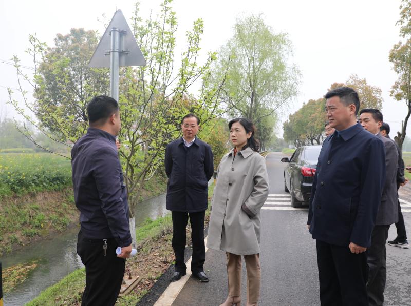 李敏来我县调研乡村振兴工作