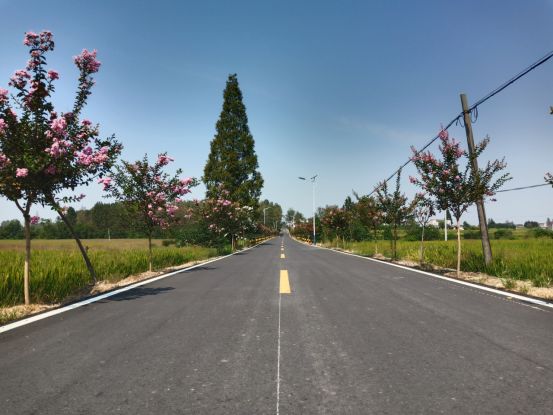 柏林乡:乡村振兴 环境先行_舒城县人民政府