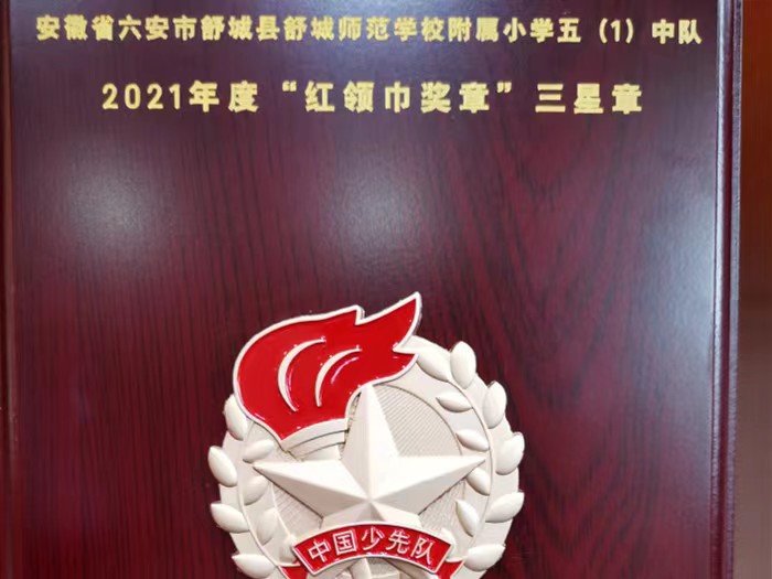 舒师附小荣获六安市红领巾奖章三星章多项荣誉