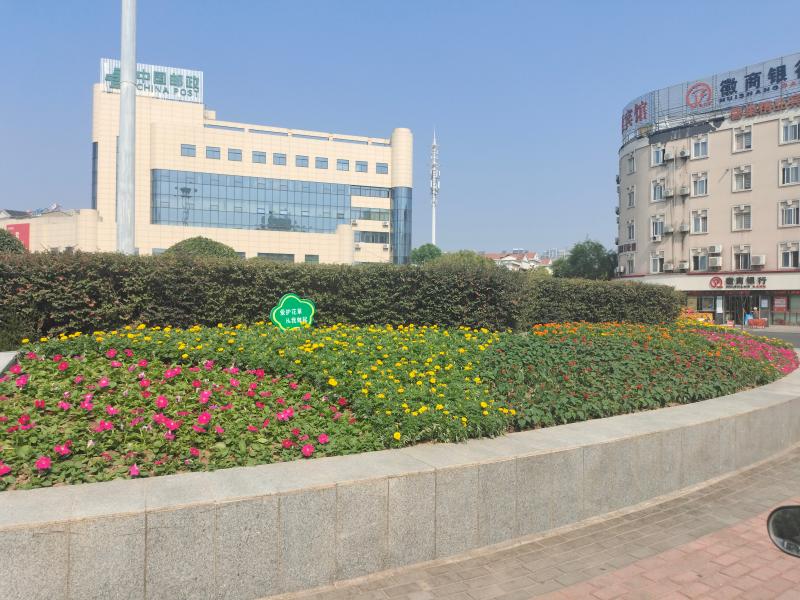 县城管局园林管理所对城区桃溪路,梅河路,鼓楼街,大转盘等主次干道