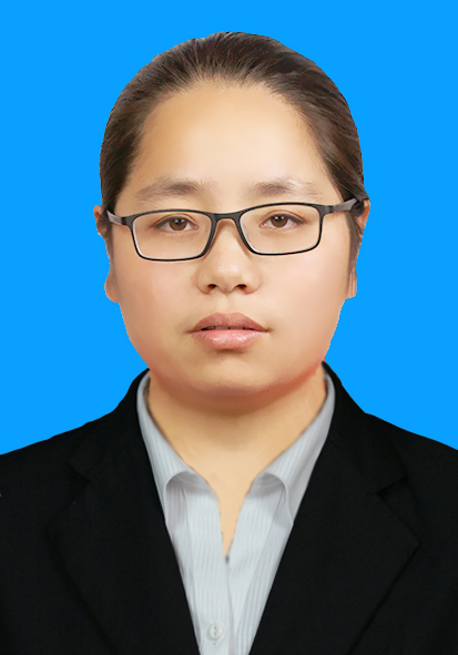 舒城县统计局总统计师张春霞