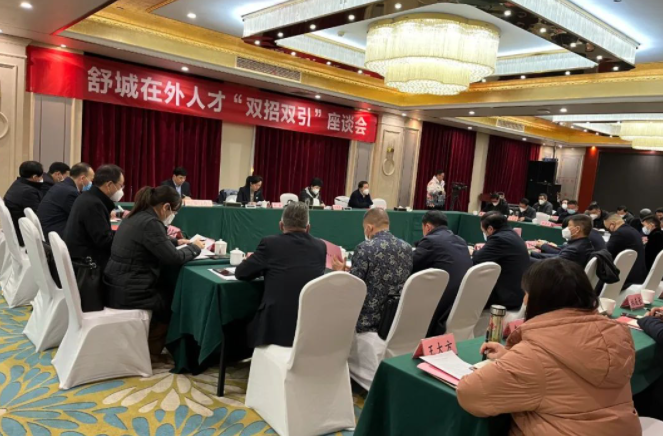舒城在外人才“双招双引”座谈会召开