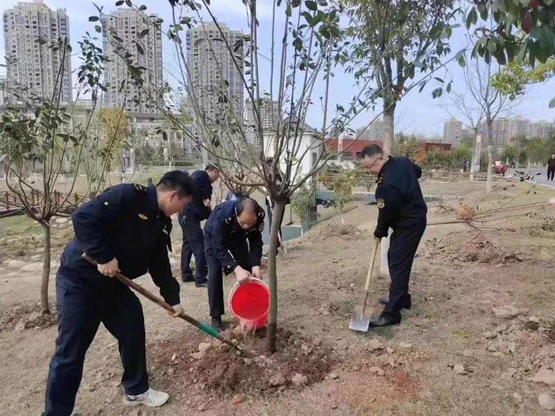 县城市管理行政执法局开展春季义务植树活动_舒城县人民政府