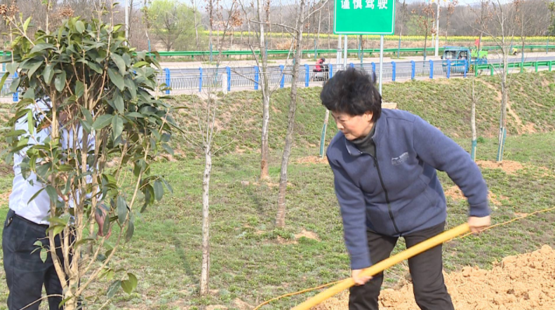 我县机关干部职工开展义务植树活动