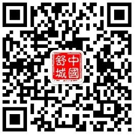 舒城县人民政府发布