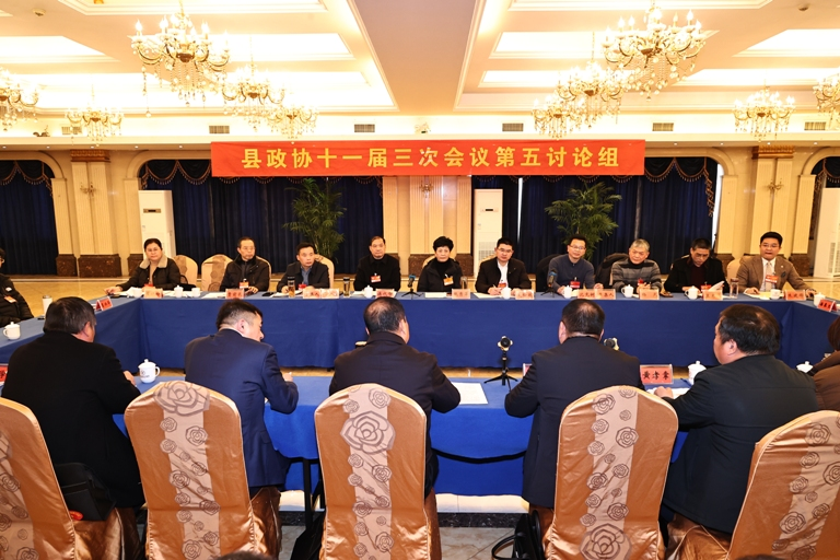 【两会】县政协十一届三次会议开展分组讨论_舒城县人民政府