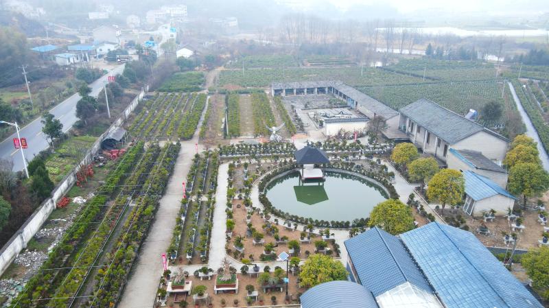 当前位置:>首页>政务资讯>社会动态>2月19日,位于舒城县晓天镇境内的