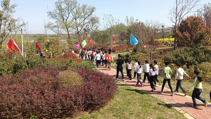 舒茶镇中心学校组织学生踏青赏春