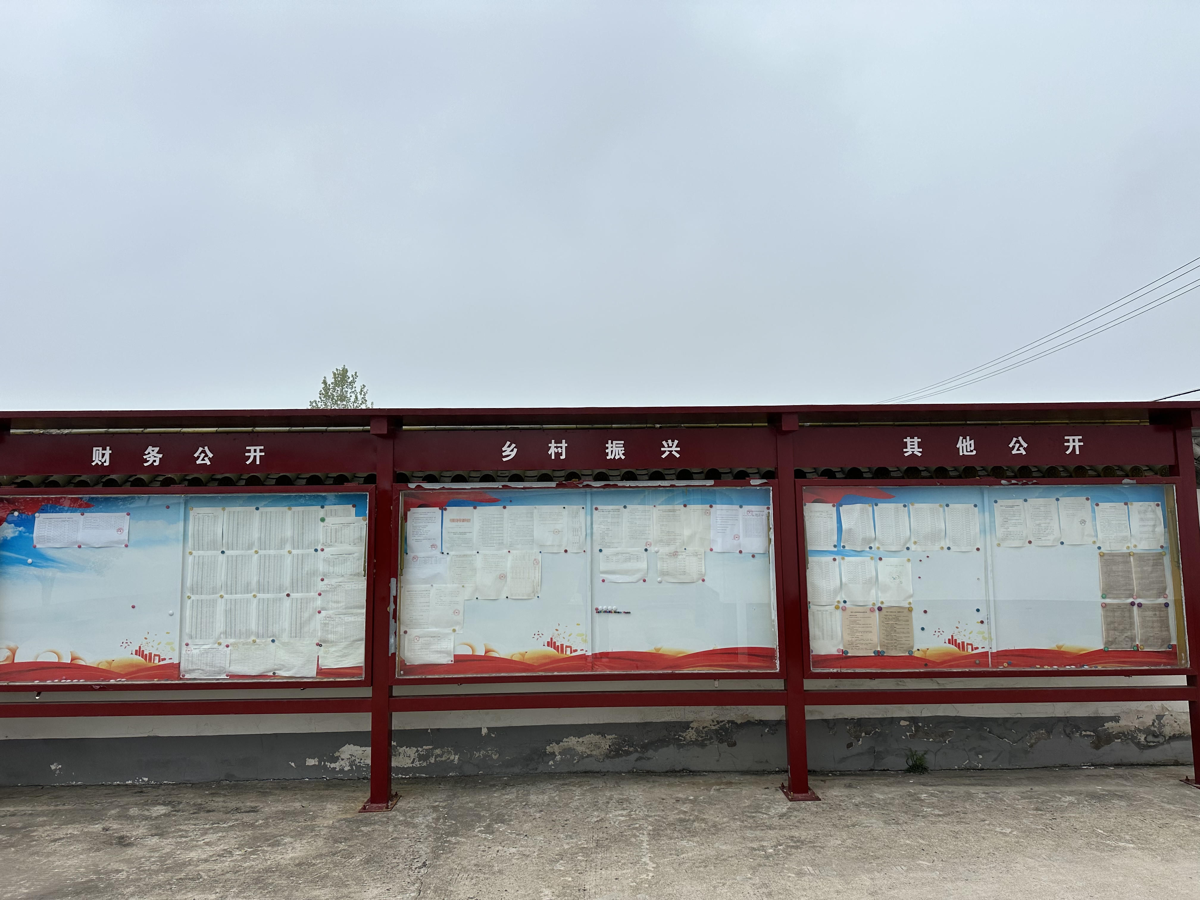 枣林村村务公开栏