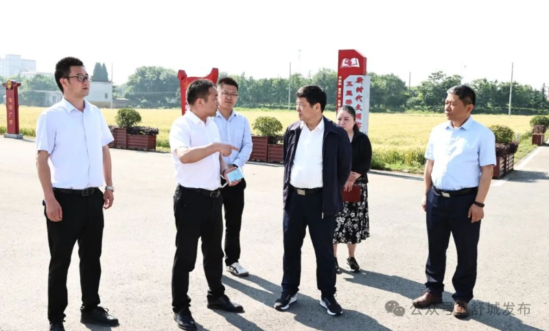 县委书记赵珞调研和美乡村精品示范村建设工作