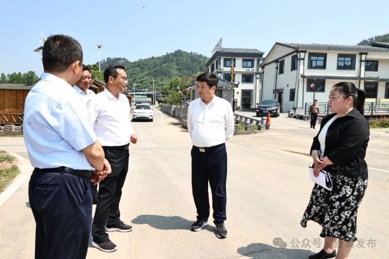 县委书记赵珞调研和美乡村精品示范村建设工作_舒城县人民政府