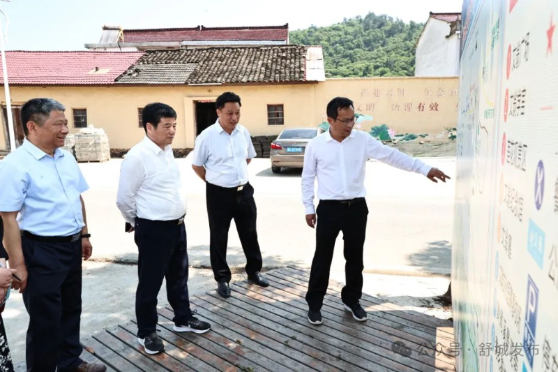 县委书记赵珞调研和美乡村精品示范村建设工作_舒城县人民政府