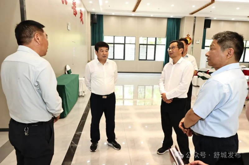 县委书记赵珞调研和美乡村精品示范村建设工作_舒城县人民政府