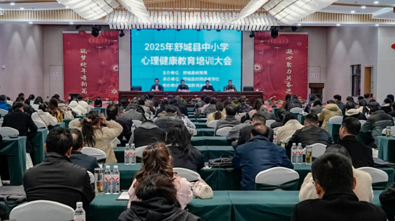 舒城县2025年中小学心理健康教育培训成功举办
