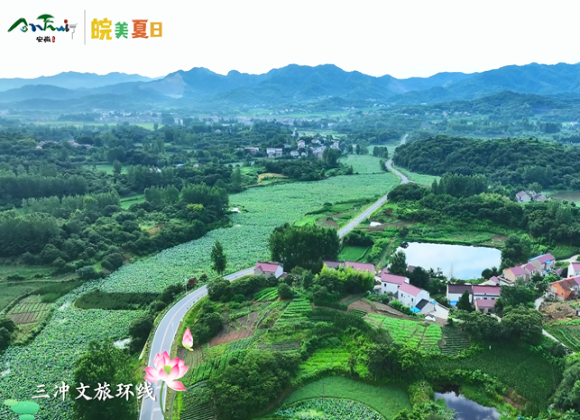 【舒城文旅】夏日长昼书，又到一年赏荷时，文翁研学旅游小镇的满池荷花，正酝酿着一场与你的相遇
