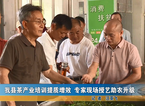 我县茶产业培训提质增效 专家现场授艺助农升级