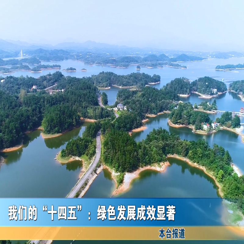 我们的“十四五”：绿色发展成效显著