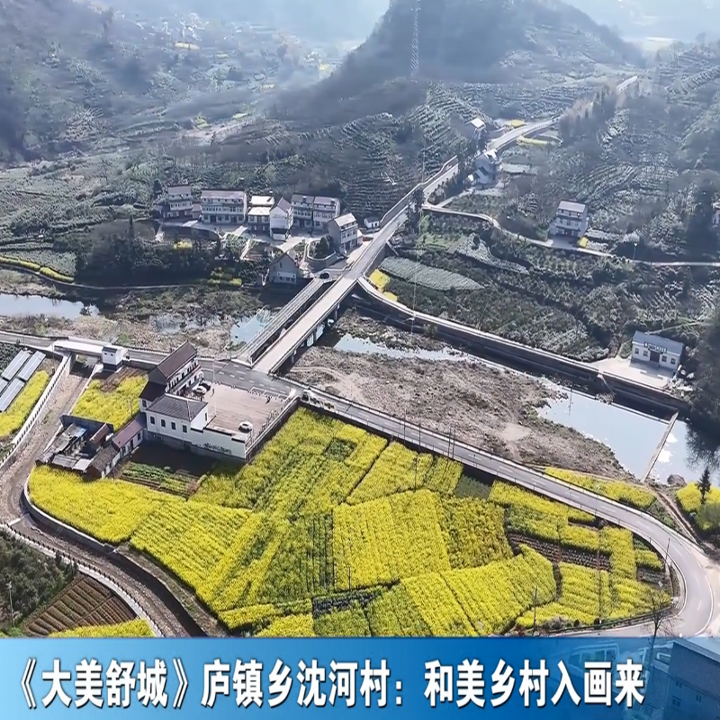  《大美舒城》庐镇乡沈河村：和美乡村入画来