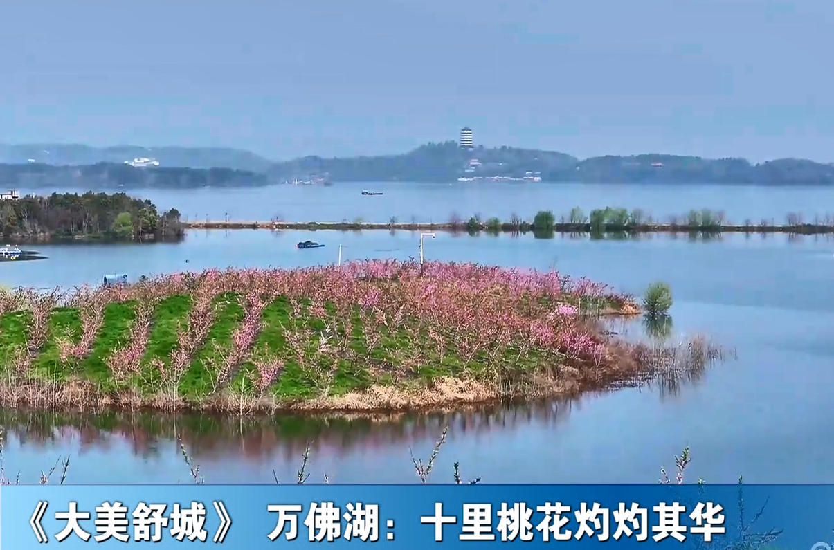 《大美舒城》万佛湖：十里桃花灼灼其华