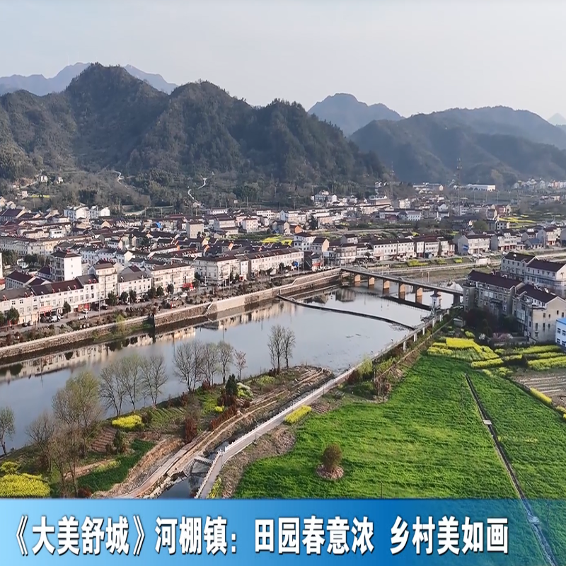 《大美舒城》河棚镇：田园春意浓 乡村美如画