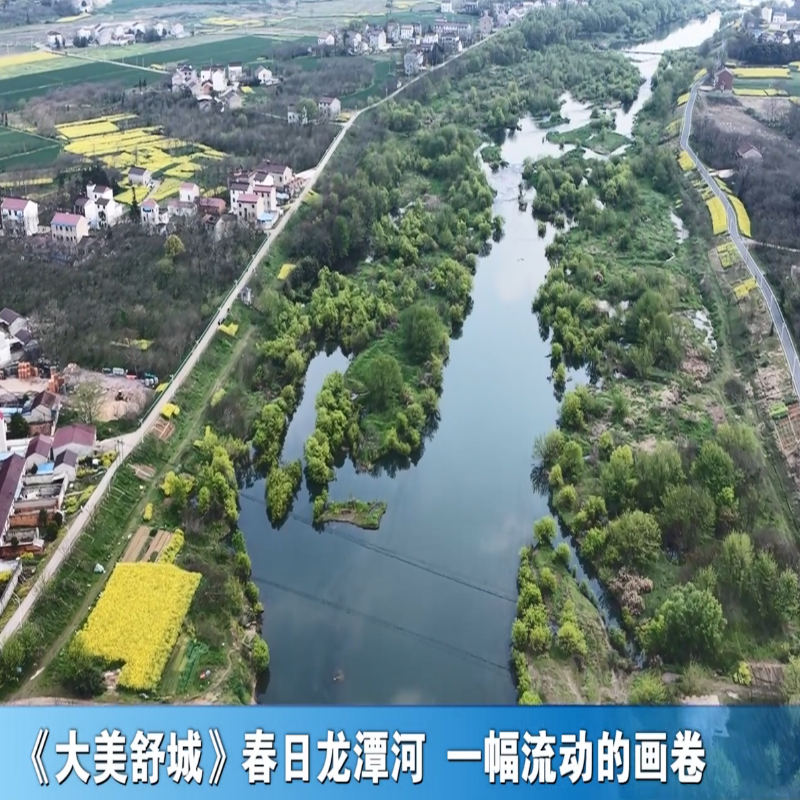 《大美舒城》春日龙潭河 一幅流动的画卷
