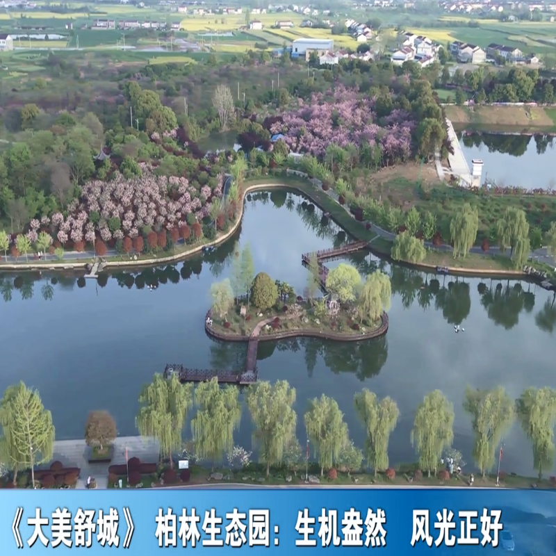 《大美舒城》柏林生态园：生机盎然 风光正好