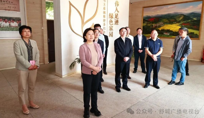 省政协副主席陶仪声来舒城调研