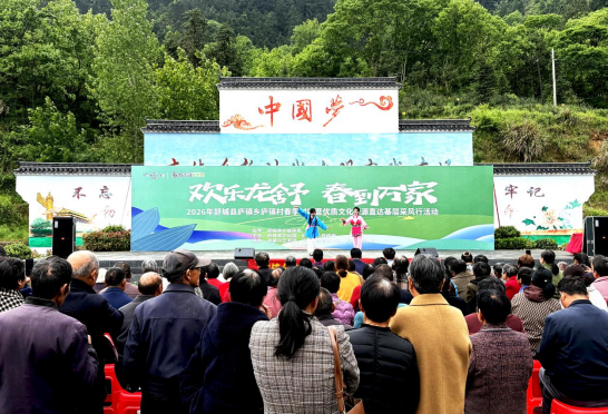 “欢乐龙舒·春到万家”2026庐镇村春季村晚圆满举办
