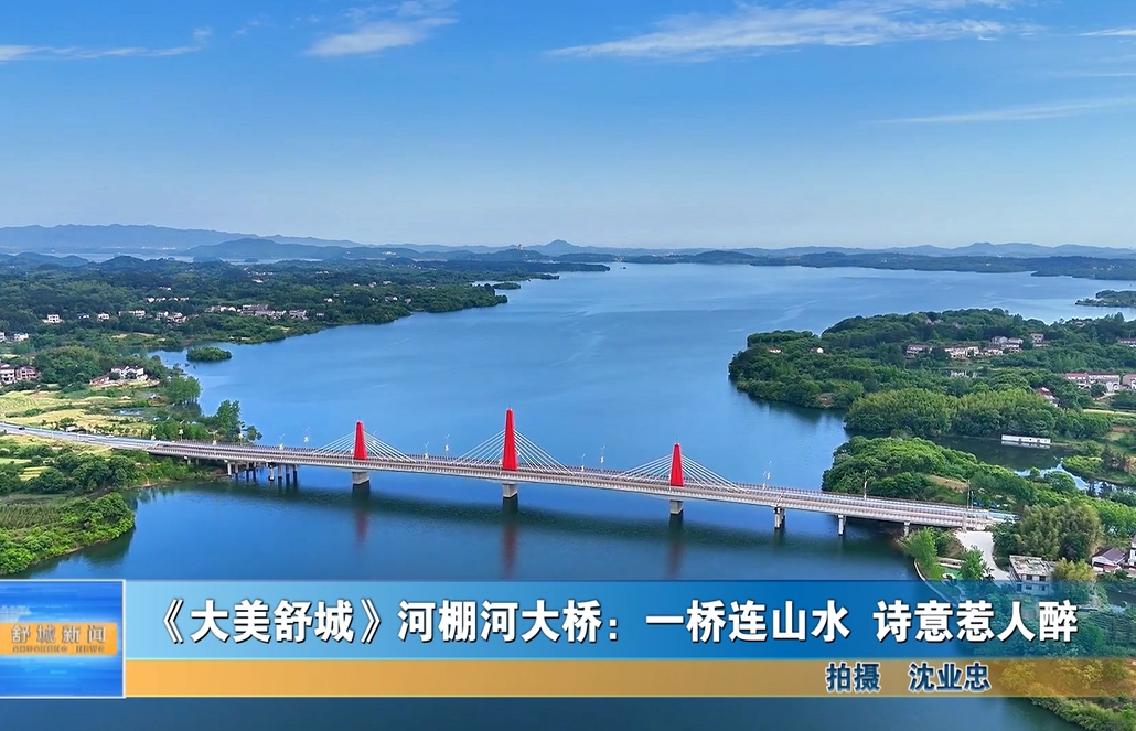 《大美舒城》河棚河大桥：一桥连山水 诗意惹人醉