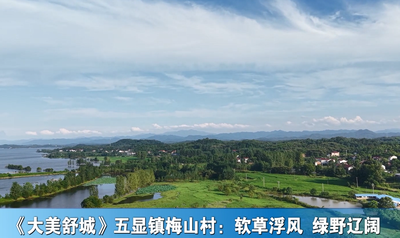 《大美舒城》五显镇梅山村：软草浮风 绿野辽阔