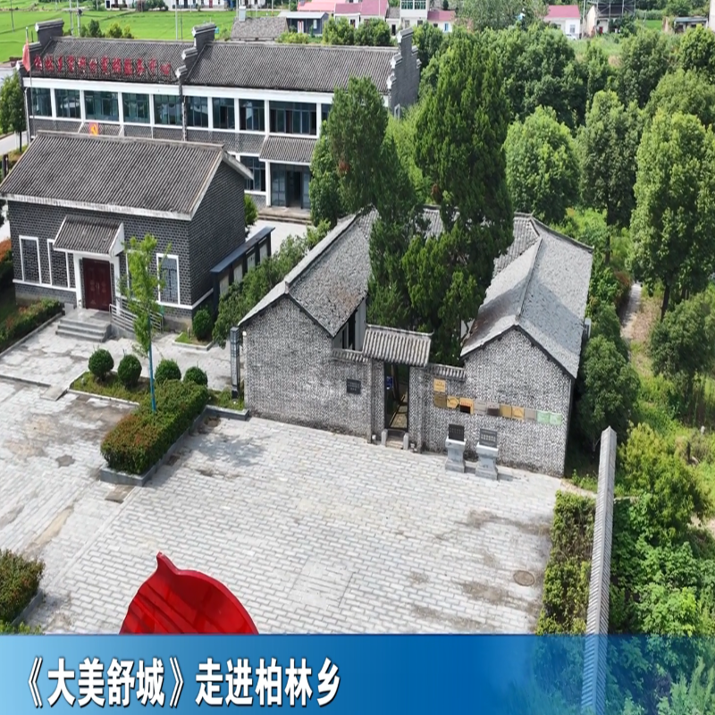 《大美舒城》走进柏林乡