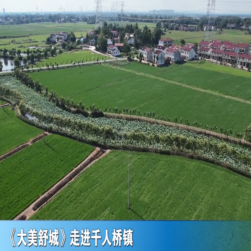 《大美舒城》走进千人桥镇