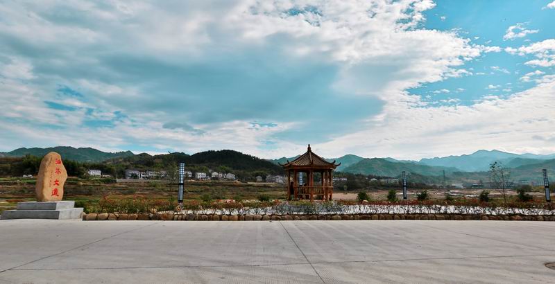 4 油茶大道 (4).JPG