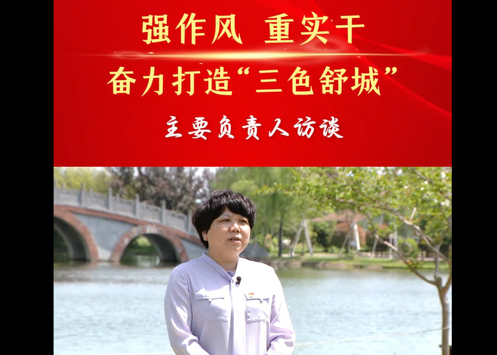 强作风 重实干 奋力打造“三色舒城”— 主要负责人访谈（汤为平）