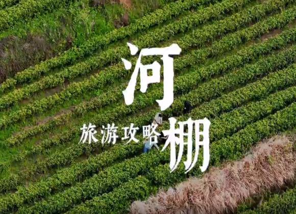 【游舒城】河棚镇茶旅攻略 河棚镇茶旅攻略来啦